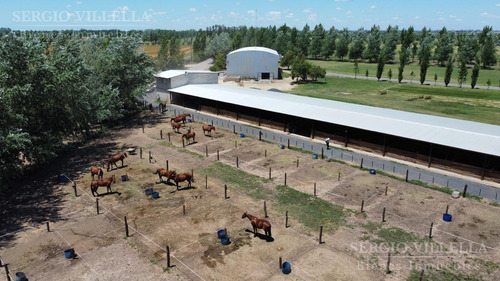 Imagen 10 de 14 de Terrenos En Venta En Ibarlucea