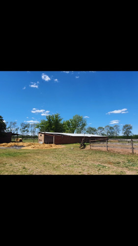 Imagen 3 de 10 de Alquiler Haras 10 Ha Establecimiento Hipico 24 Caballerizas, Silo, Galpon 150mts, Casa Encargado