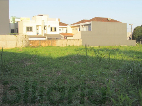 Imagem 2 de 4 de Terreno Joinville - 554