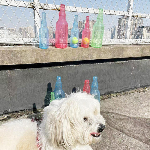 Juguete Para Perros Con Forma De Botella De Agua Para Rojo L