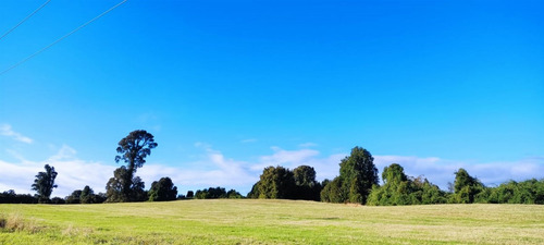 Terreno Agrícola En Venta 4,25 H En Puerto Octay