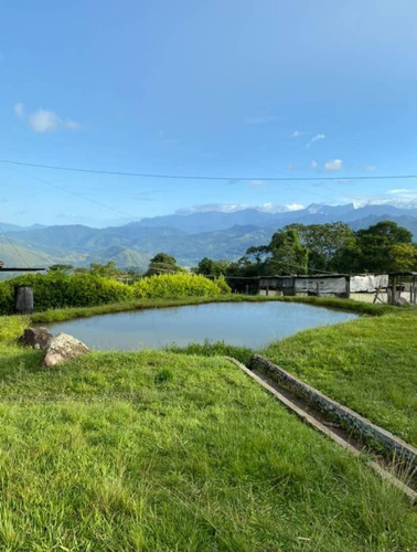 Imagen 16 de 17 de Venta Espectacular Finca San Cristobal, Estado Tachira