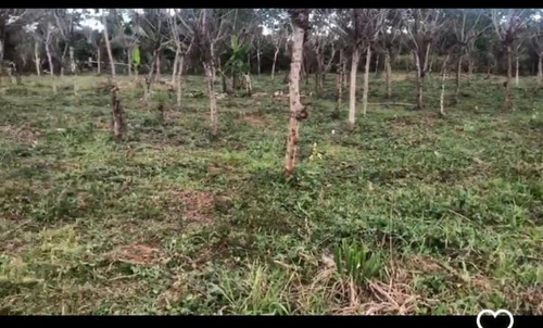 Se Vende Finca En Monte Plata 