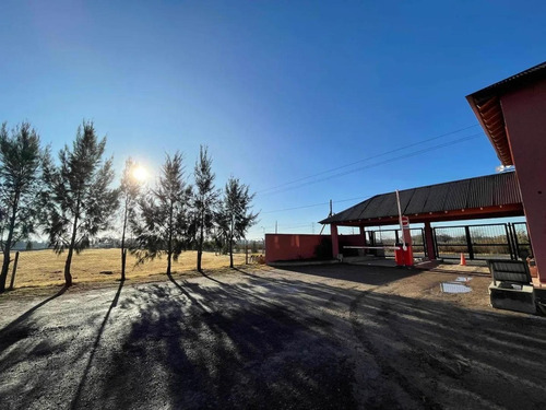 Imagen 1 de 7 de Hermoso Lote Interno Barrio Cerrado Santa Isabel Il