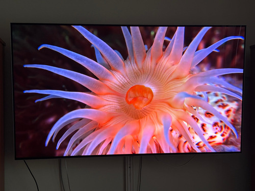 Smart Tv De 55 Lg Oled55b7p 4k Excelente Estado (Usado)