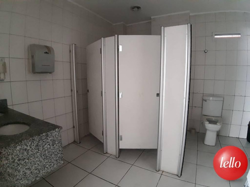 Comercial/industrial - Ref: 221528