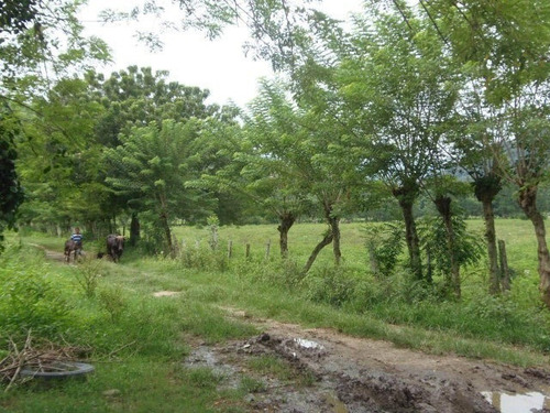 Imagen 20 de 30 de Finca En Venta San Felipe 1500 Ha, #23-14481