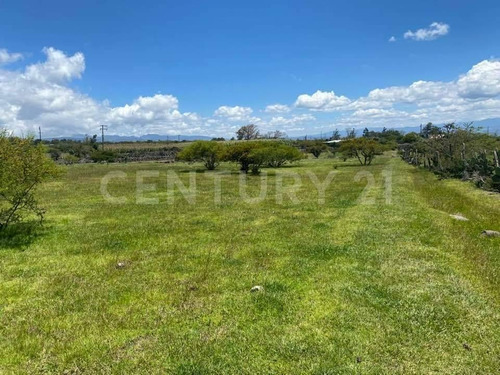 Imagen 20 de 24 de Se Vende Rancho En Hidalgo Para Inversionistas