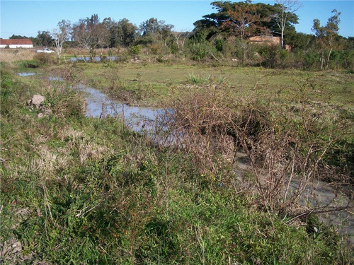 Imagem 14 de 30 de Sítio Rural À Venda, Lami, Porto Alegre. - Si0006