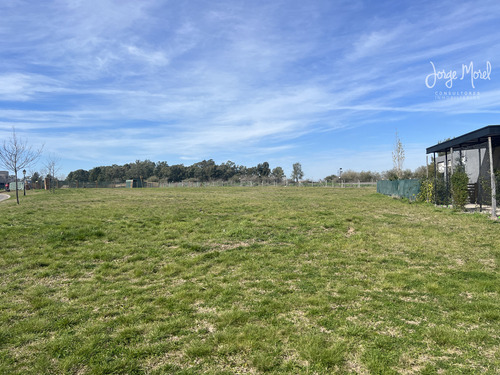 Lote Interno #0-100 - San Sebastian - Area 12 - 827m2 #id 3141