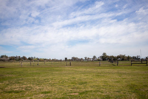 Campo De 77 Hectáreas Con Mejoras En Abbott, San Miguel Del Monte