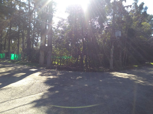 Imagen 4 de 5 de Lote 600 M2. Villa Udaondo