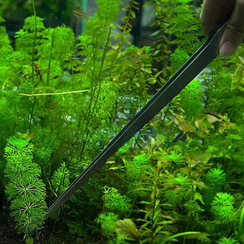 Pinzas Para Acuario De Acero Inoxidable Kit Herramientas