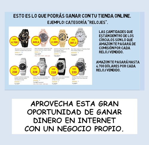 Negocios Rentables. Tienda Online En Estados Unidos