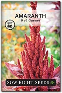 Sow Right Seeds Semillas De Amaranto De Granate Rojo Para Pl