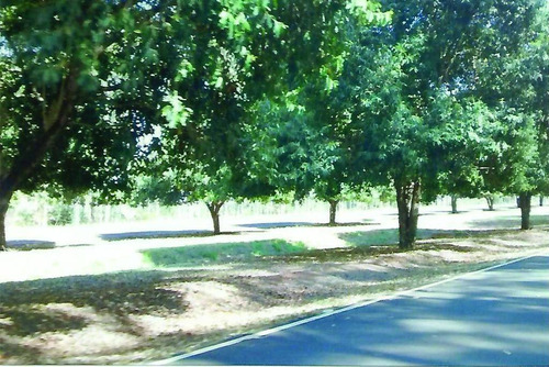Imagem 7 de 9 de Terreno À Venda, 450 M² Por R$ 50.000,00 - Condominio Thermas Santa Barbara - Águas De Santa Bárbara/sp - Te0005