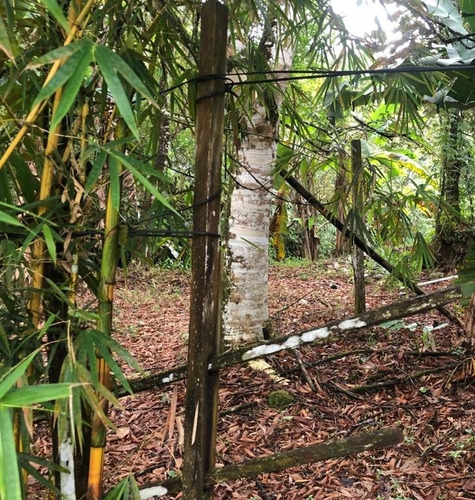 Imagem 6 de 12 de Terreno Medindo 465m², À Venda Em Itanhaém