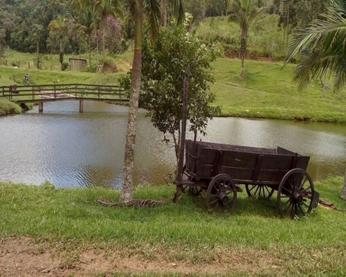 Imagem 7 de 30 de Sitio À Venda Em Juquitiba, - 21 - 32982657