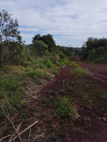 Hectáreas En Venta En Wanda, Misiones