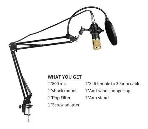 Imagen 4 de 6 de Kit Microfono + Soporte