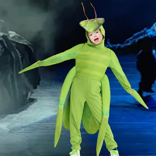 Disfraz De , Encantador Traje De Para Carnaval, Puesta ,