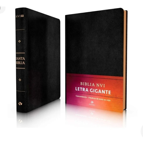 Biblia Nvi Letra Gigante Negro Con  Concoedancias