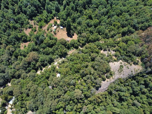 Parcela 2,500m2 Tiny House Los Lleuques - Pangue Propiedades