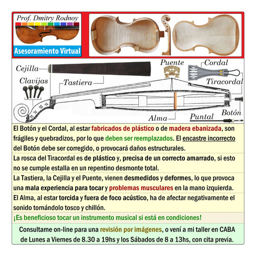 Vtv Online - Verifica Tu Viola X Fotos - Prof. Dmitry Rodnoy