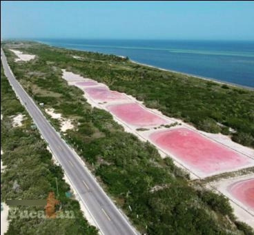 Terreno Con 50 M Frente Al Mar En Yucatán