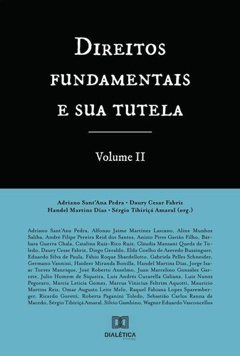 Direitos Fundamentais E Sua Tutela - Volume 2, De Daury Cesar Fa Santana Pedra. Editorial Editora Dialetica, Tapa Blanda En Portuguese