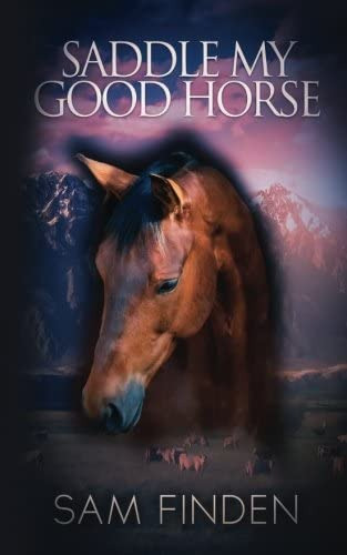 Saddle My Good Horse: The Cowboy Kids Of Mirror Valley, De Finden, Sam. Editorial Heels Down Books, Tapa Blanda En Inglés