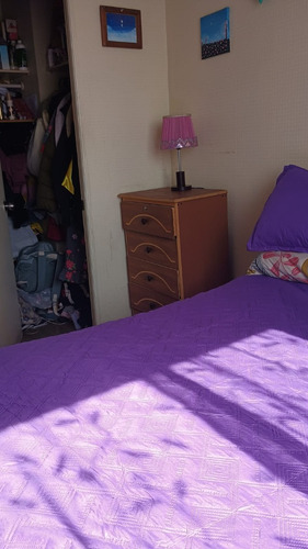 Hermoso Departamento 2d, 1b A 4 Cuadras Del Parque O'higgins