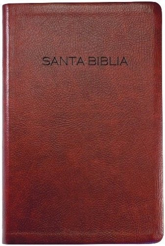 Biblia Nvi (spanish Edition)