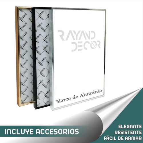 Marco Protector Cuadros De Aluminio De 60x40cm