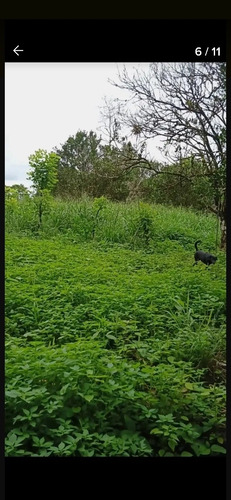 Imagen 10 de 10 de Se Vende De Oportunidad Hermosa Finca De 40 Hectáreas