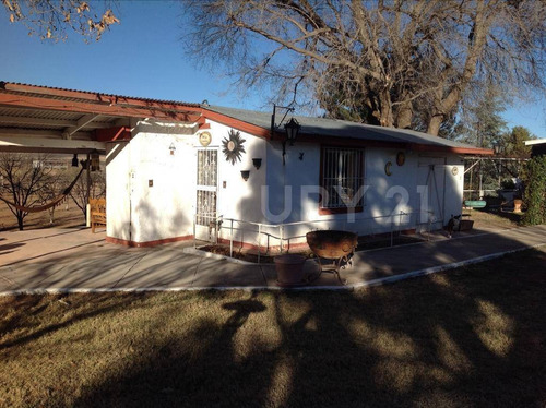 Imagen 7 de 26 de Rancho En Venta Zona Norte Sacramento Chihuahua