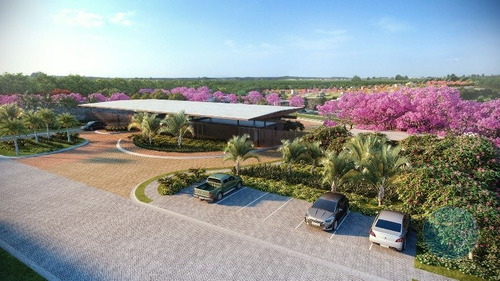 Imagem 1 de 15 de Condominio Yby Natureza - V-10184