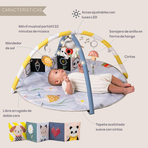 Gimnasio Bebé Multisensorial Con Móvil Musical Luces Taf Toy
