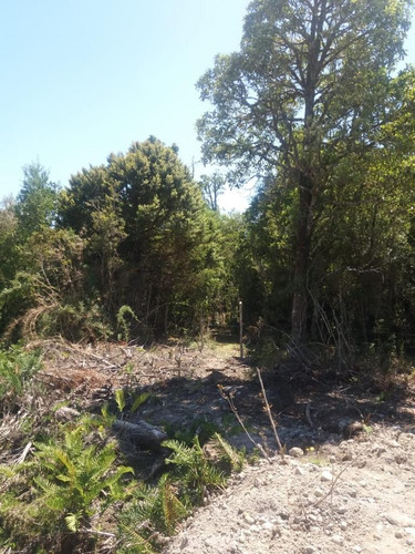 Vende Parcela En Maderos De Puerto Varas