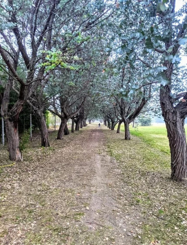 Imagen 6 de 12 de Venta Lote En Casuarinas Del Pilar