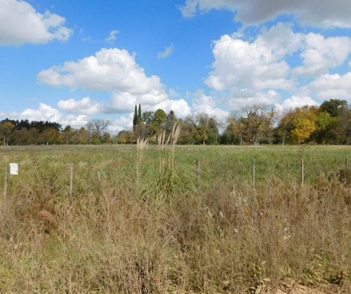 Imagen 9 de 12 de Venta - Lote 1766m2 - Sobre Colectora Ruta 8 El Remanso - Exaltacion De La Cruz