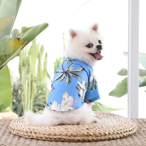 Ropa Camisa Hawaiana Verano Talle 2xl Perro Gato Mascota