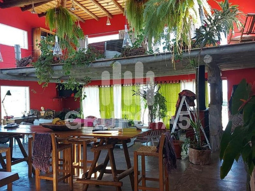 Imagen 3 de 28 de Vende Chacra De 10 Hectáreas Con Una Casa De 500 M2 - Penitente - Minas