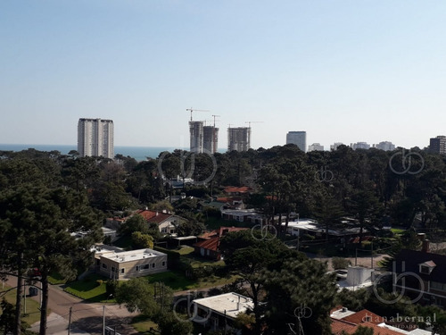 Imagen 7 de 21 de Apartamento En Zona De Roosevelt