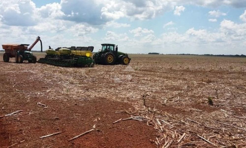 Imagem 6 de 8 de Fazenda Em Divinópolis Do Tocantins - 2808