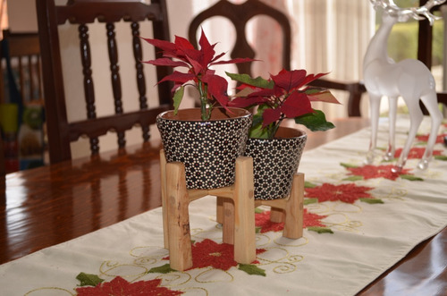 Kit Macetero Mini Doble Con Planta