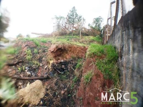 Imagem 7 de 17 de Terreno - Chacara Sao Jose - 1217