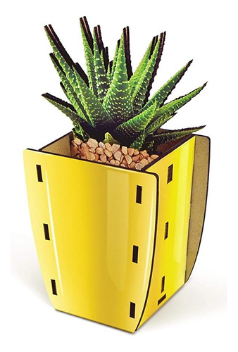 Original Fred Pop Plants - Aloe - Portalápices Y Lapiceros.