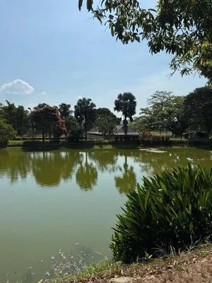 Hacienda-Finca en venta