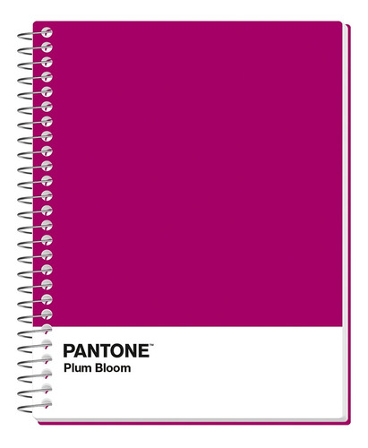 Pack 5 Cuadernos Premium Rhein Pantone